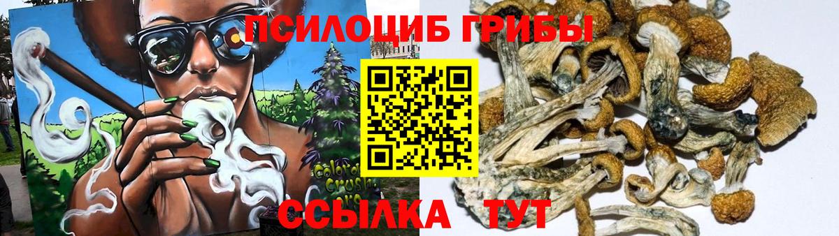 Псилоцибиновые грибы Magic Shrooms Сосновый Бор
