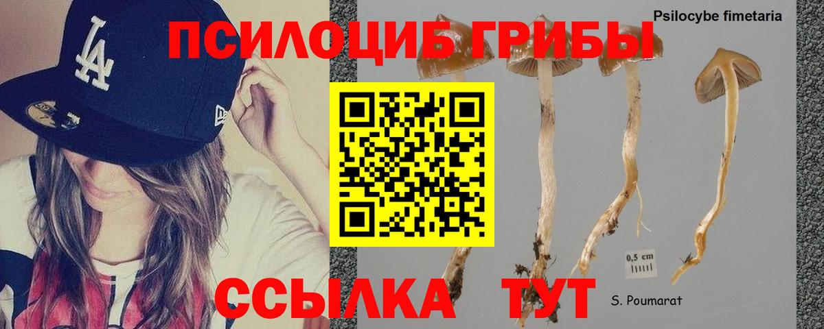 Псилоцибиновые грибы Magic Shrooms  Вход с VPN  Сосновый Бор  Галлюциногенные грибы MAGIC MUSHROOMS 