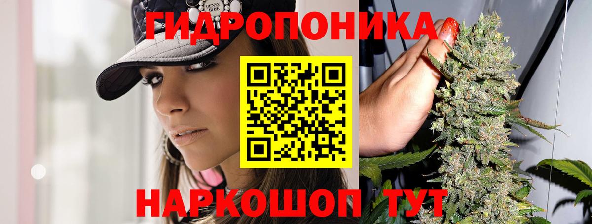 Сосновый Бор  Бошки Шишки планчик  Каннабис ГИДРОПОН  Вход с VPN  Канабис гибрид 